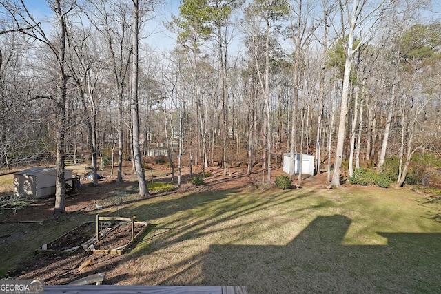 view of yard featuring a shed