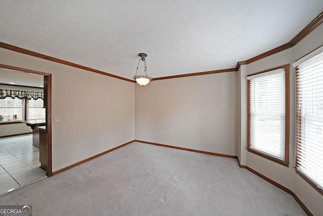 carpeted spare room featuring crown molding, a healthy amount of sunlight, and a textured ceiling