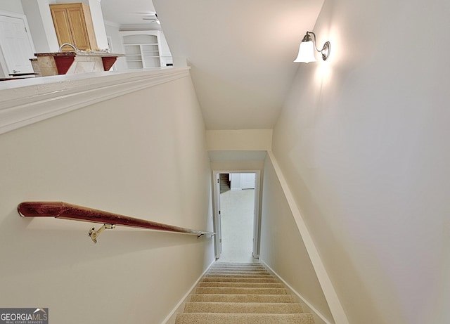 staircase with carpet and ceiling fan