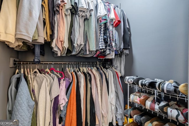 view of spacious closet