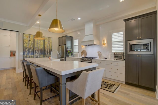kitchen featuring custom range hood, light wood-style flooring, plenty of natural light, and stainless steel appliances