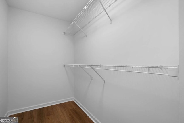 walk in closet featuring hardwood / wood-style flooring