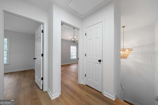 hall with wood-type flooring and a chandelier