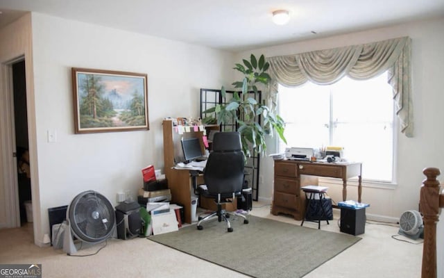 office featuring light carpet