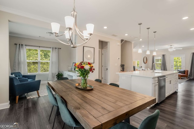 dining room featuring sink, ornamental molding, and dark hardwood / wood-style floors