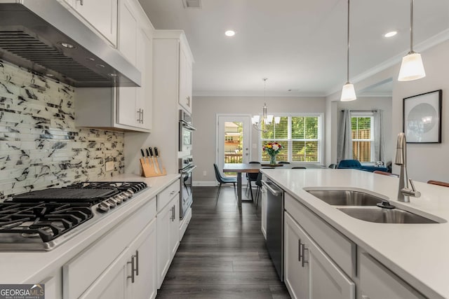 kitchen featuring appliances with stainless steel finishes, pendant lighting, range hood, white cabinetry, and sink