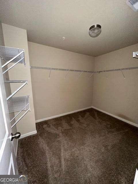 walk in closet with dark colored carpet