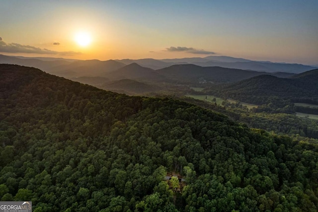 view of mountain feature