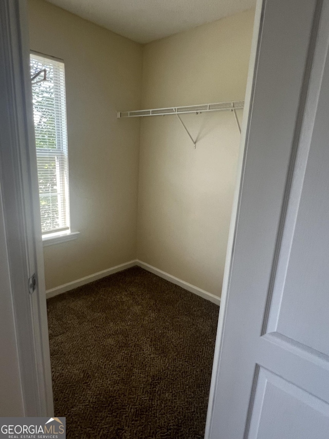 spacious closet featuring carpet