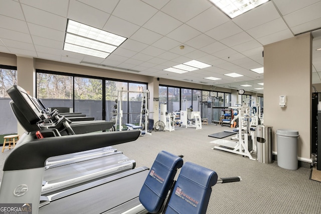 workout area with carpet floors and a drop ceiling