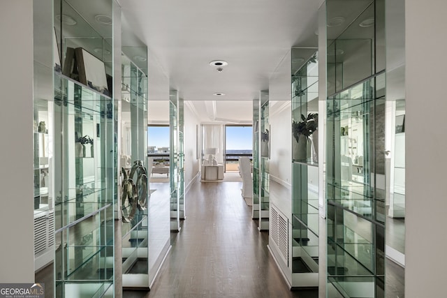 wine room featuring expansive windows and wood finished floors