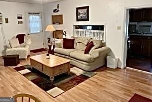 living room with hardwood / wood-style floors