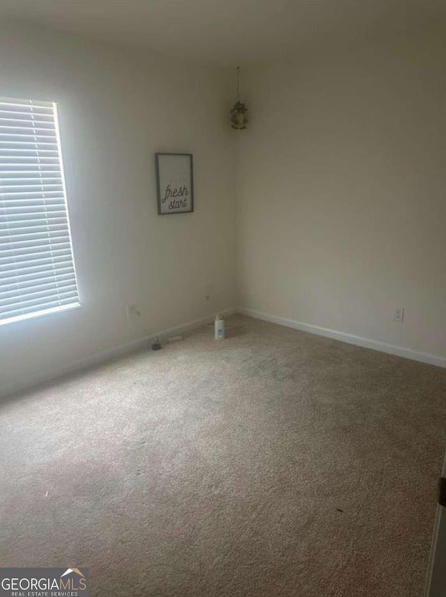 spare room featuring carpet floors