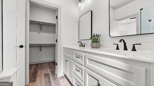 bathroom with hardwood / wood-style flooring and vanity