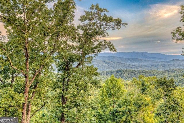 property view of mountains