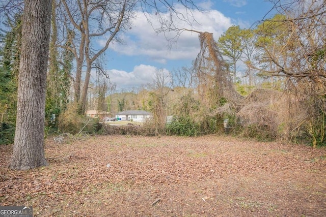 3234 Bluebird Ln, Decatur, GA 30032 - view of yard