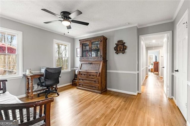 office area featuring light hardwood / wood-style flooring, ornamental molding, and a healthy amount of sunlight