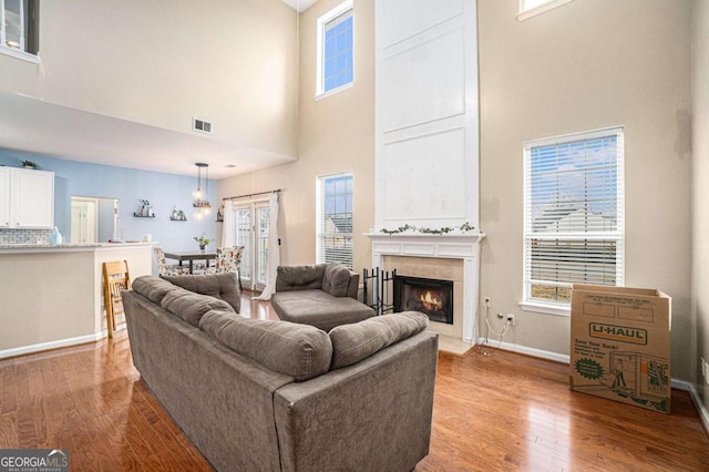 living room featuring light hardwood / wood-style floors