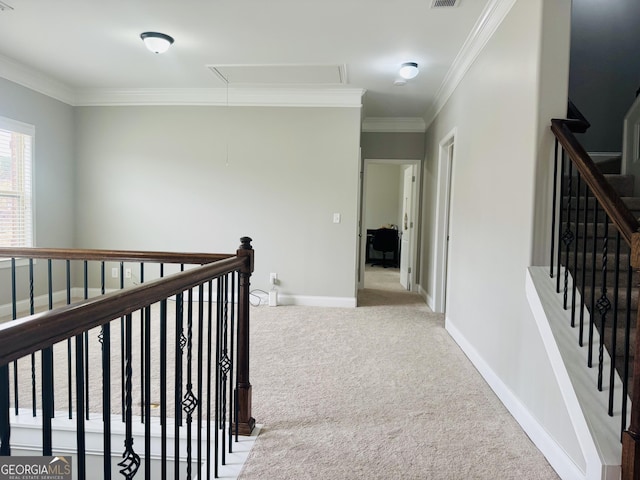 hallway featuring attic access, visible vents, baseboards, ornamental molding, and carpet