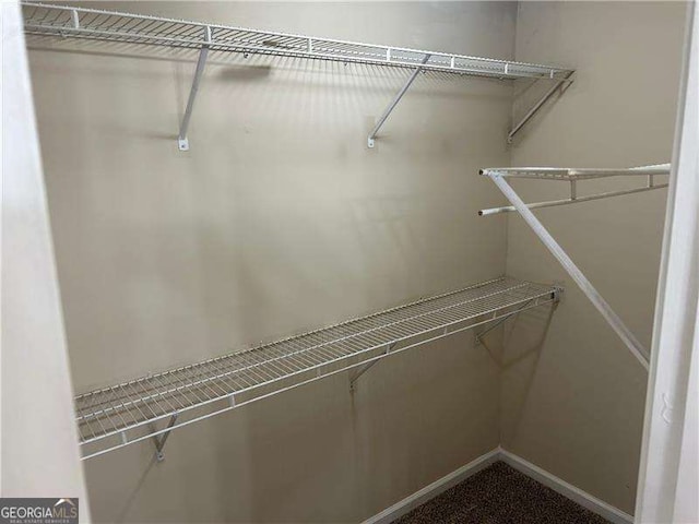 view of spacious closet