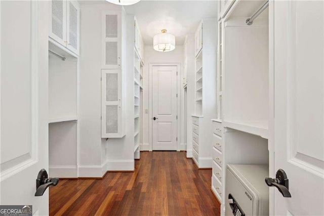 spacious closet featuring dark hardwood / wood-style floors