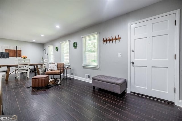 sitting room featuring dark hardwood / wood-style flooring