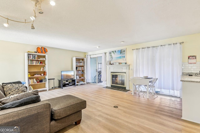 living room with light hardwood / wood-style floors