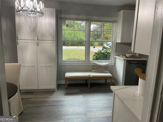 interior space with dark wood-type flooring