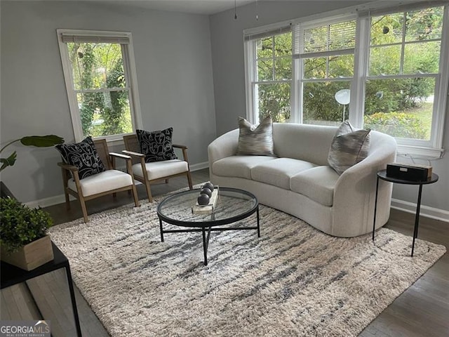 living room with dark wood-type flooring