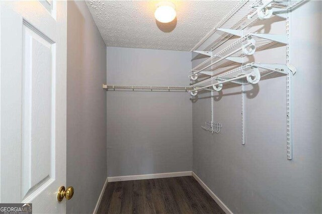 walk in closet with dark hardwood / wood-style floors