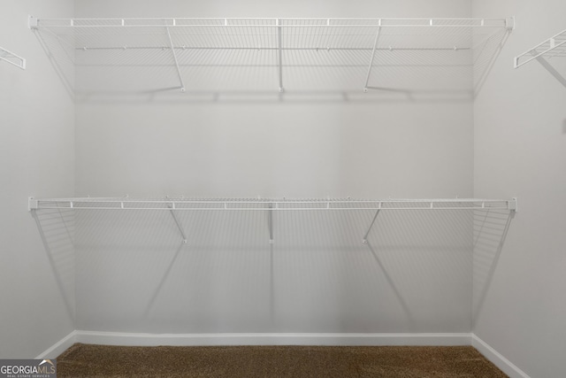 25 Patterson Dr, Franklin, GA 30217 - walk in closet featuring carpet