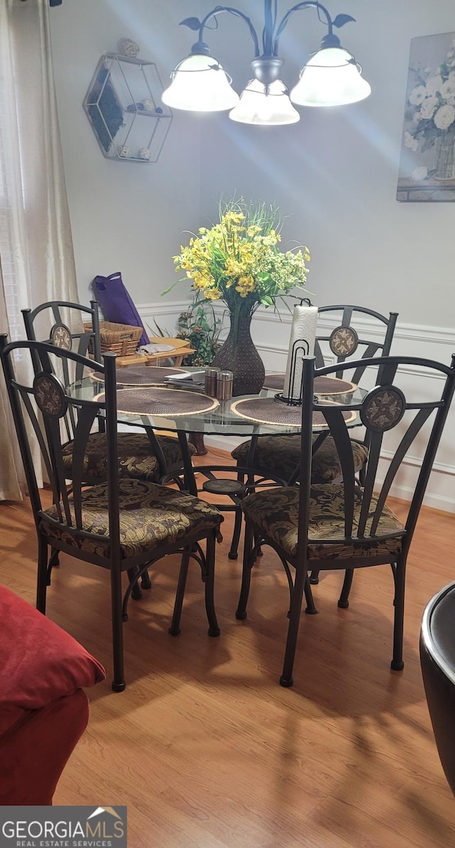 dining area featuring wood-type flooring