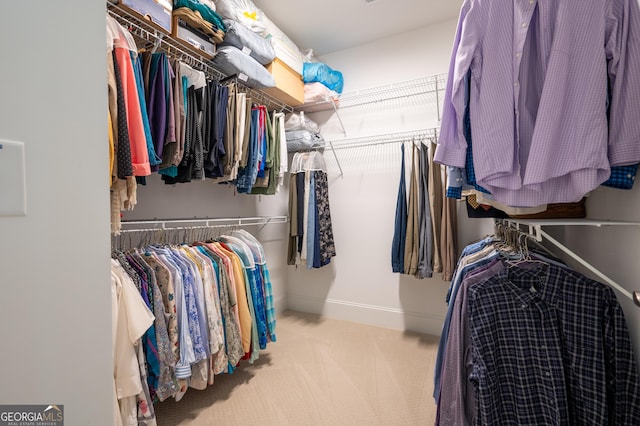 walk in closet with light colored carpet