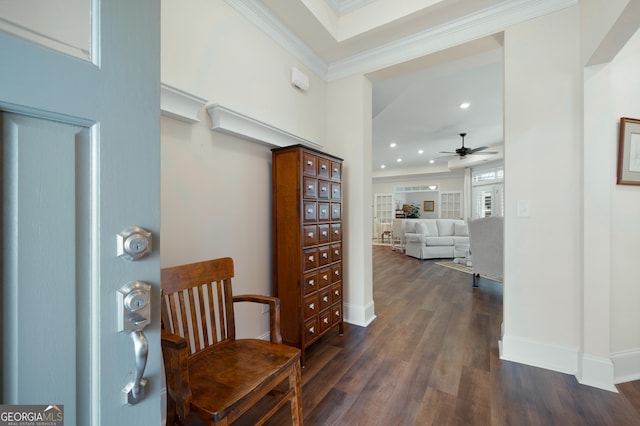 foyer featuring crown molding, dark hardwood / wood-style floors, and ceiling fan