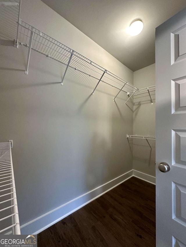 spacious closet with dark hardwood / wood-style floors