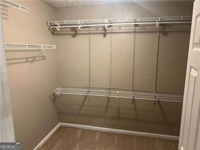 walk in closet featuring carpet flooring