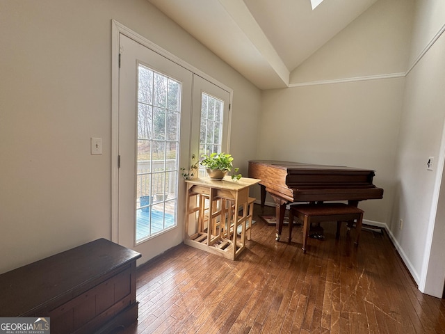 interior space featuring vaulted ceiling, dark hardwood / wood-style floors, and a healthy amount of sunlight