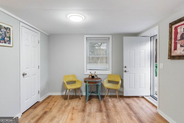 sitting room with light wood-type flooring