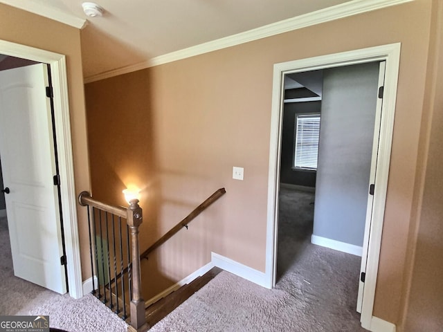 stairway with carpet floors and ornamental molding