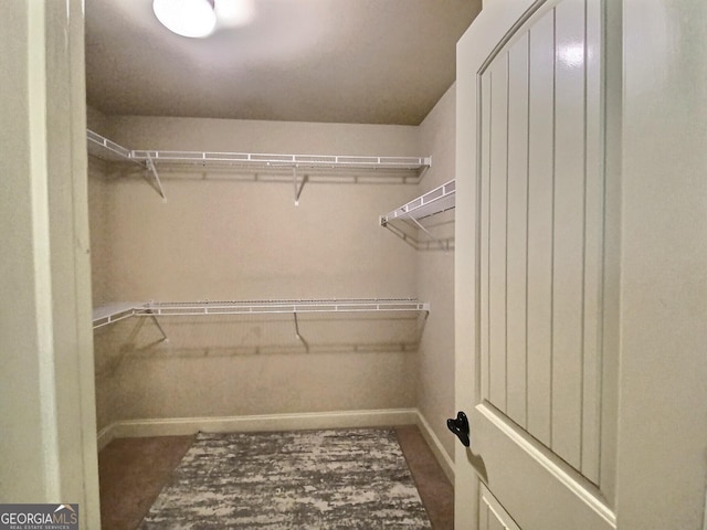 view of walk in closet