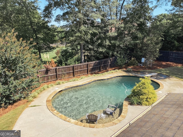 view of pool featuring a patio area