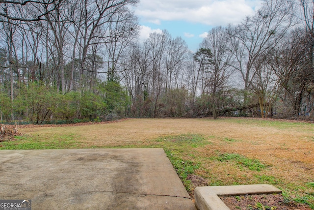 view of yard with a patio