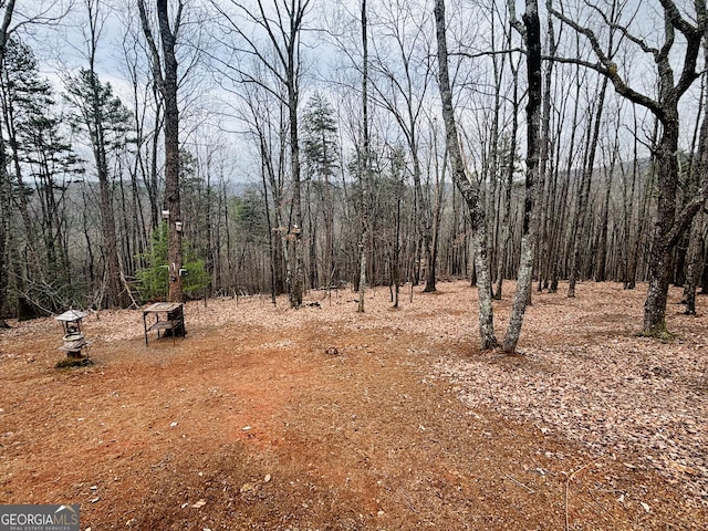 view of local wilderness