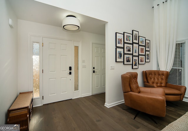 foyer entrance featuring dark wood-type flooring and a wealth of natural light