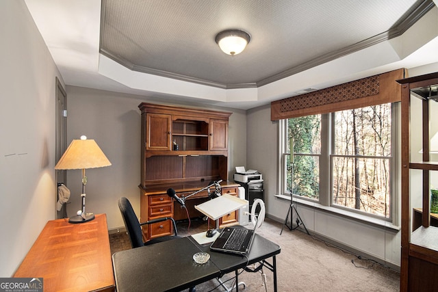 home office with crown molding, light colored carpet, and a tray ceiling