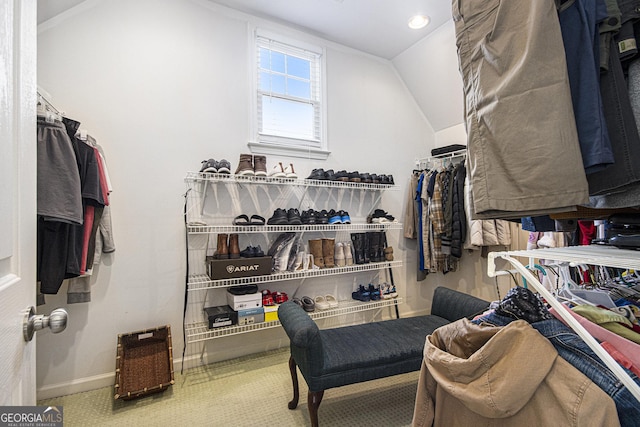 spacious closet with lofted ceiling