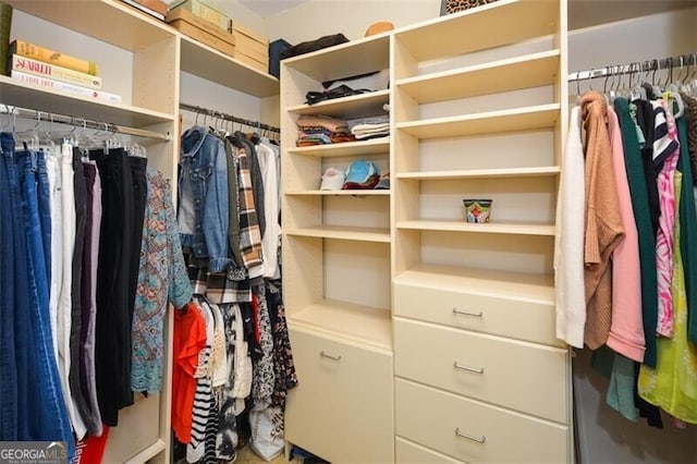 view of spacious closet