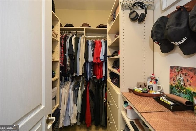 view of spacious closet