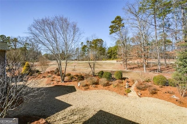 view of yard with a rural view