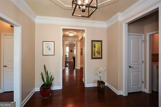 corridor with ornamental molding and dark hardwood / wood-style floors